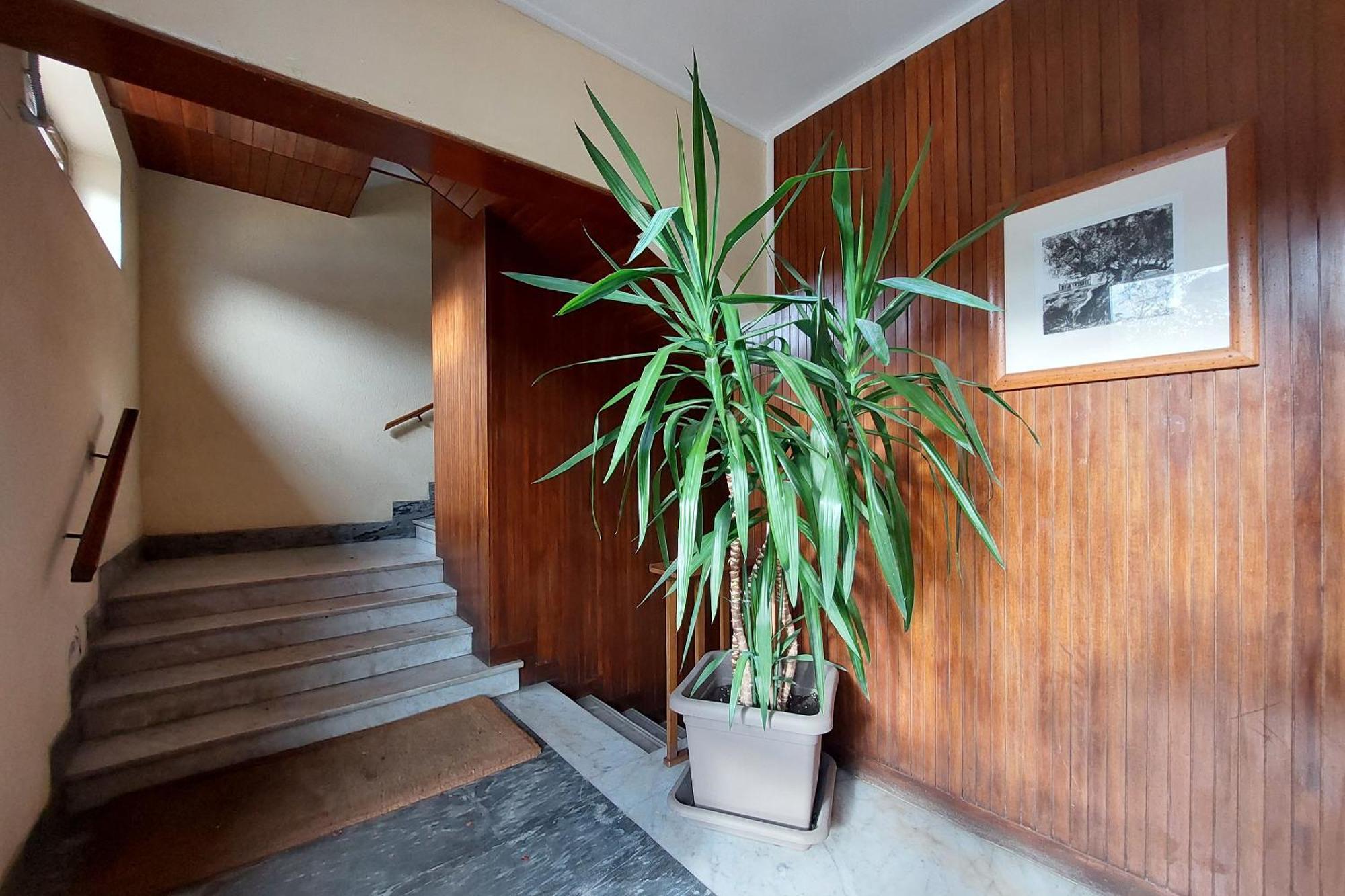 San Pietro'S Flat Apartment โรม ภายนอก รูปภาพ